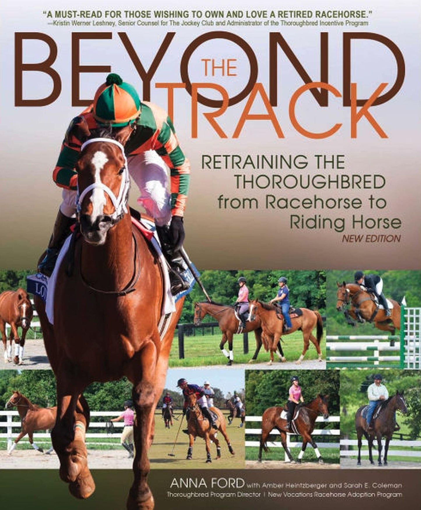 Beyond the Track: Retraining the Thoroughbred from Racecourse to Riding Horse