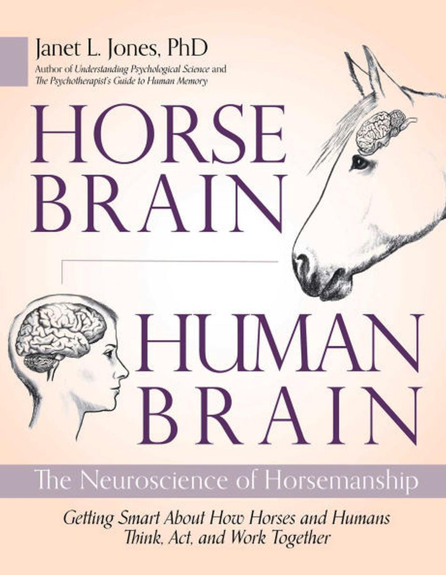 Horse Brain, Human Brain: The Neuroscience of Horsemanship