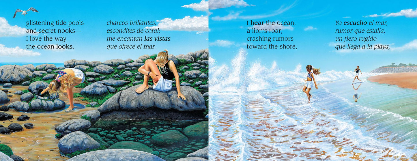 Hello, Ocean/Hola Mar