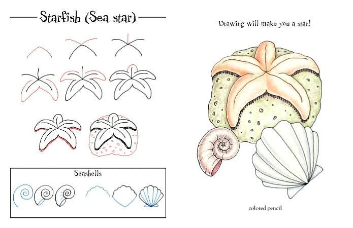 Ralph Masiello's Ocean Drawing Book