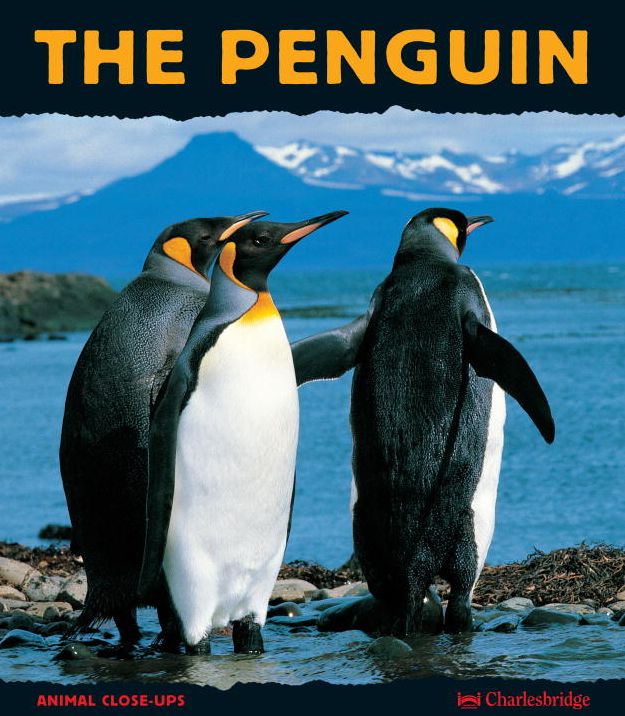 Penguin: A Funny Bird