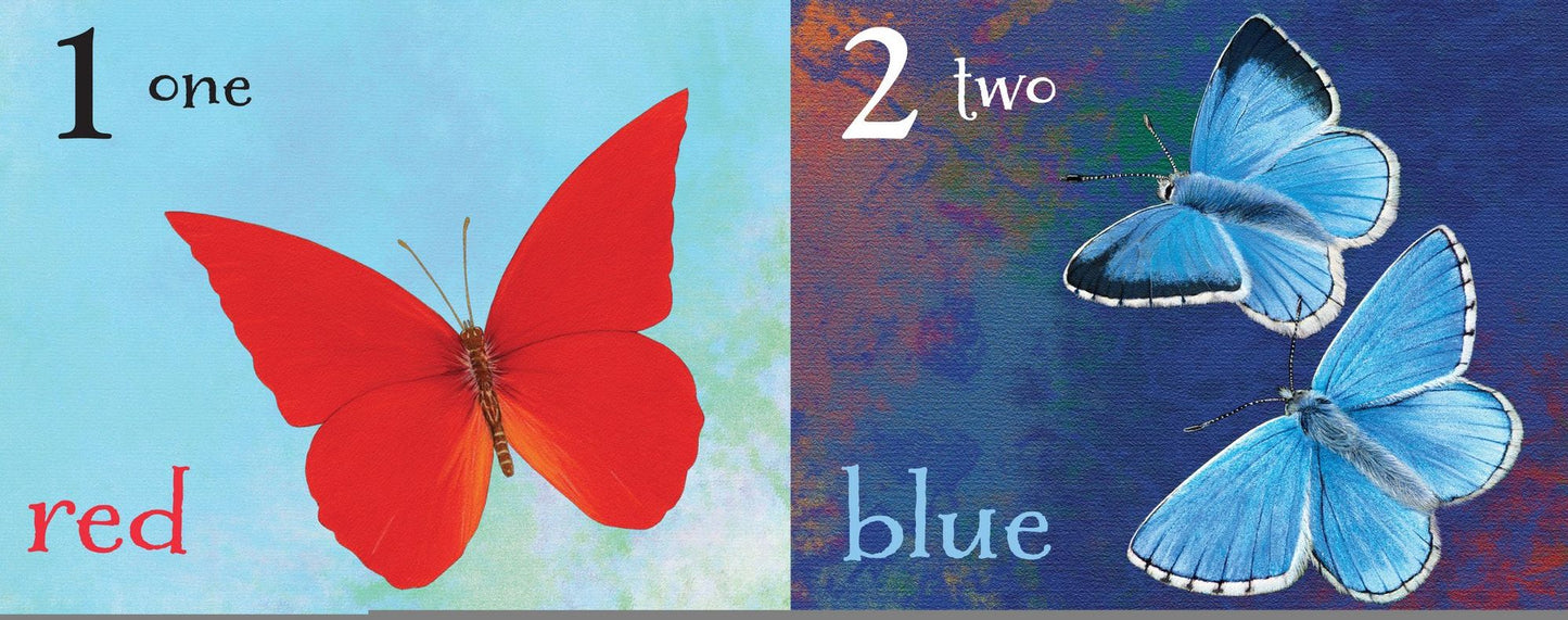 Butterfly Colors and Counting