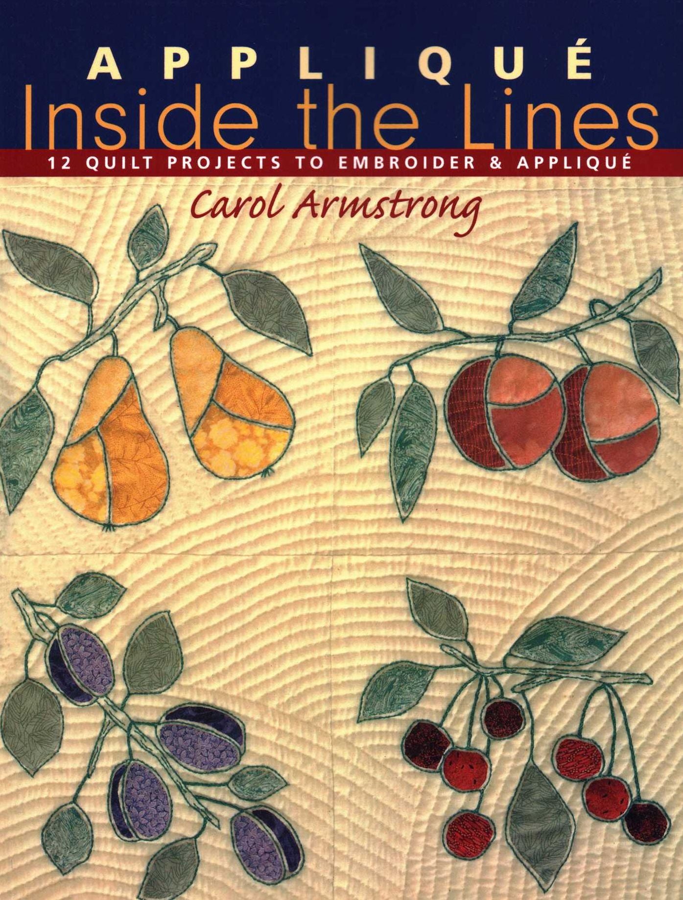 Applique Inside the Lines: 12 Quilt Projects to Embroider and Applique (Print On Demand Edition)