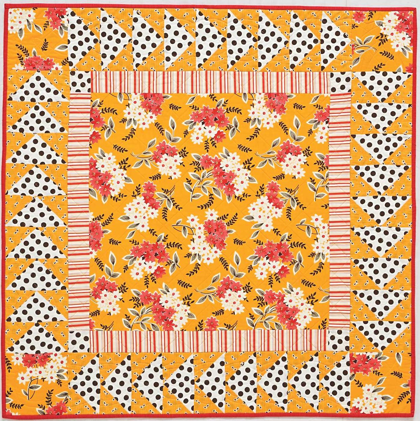 Start Quilting with Alex Anderson: Everything First-Time Quilters Need to Succeed; 8 Quick Projects--Most in 4 Sizes
