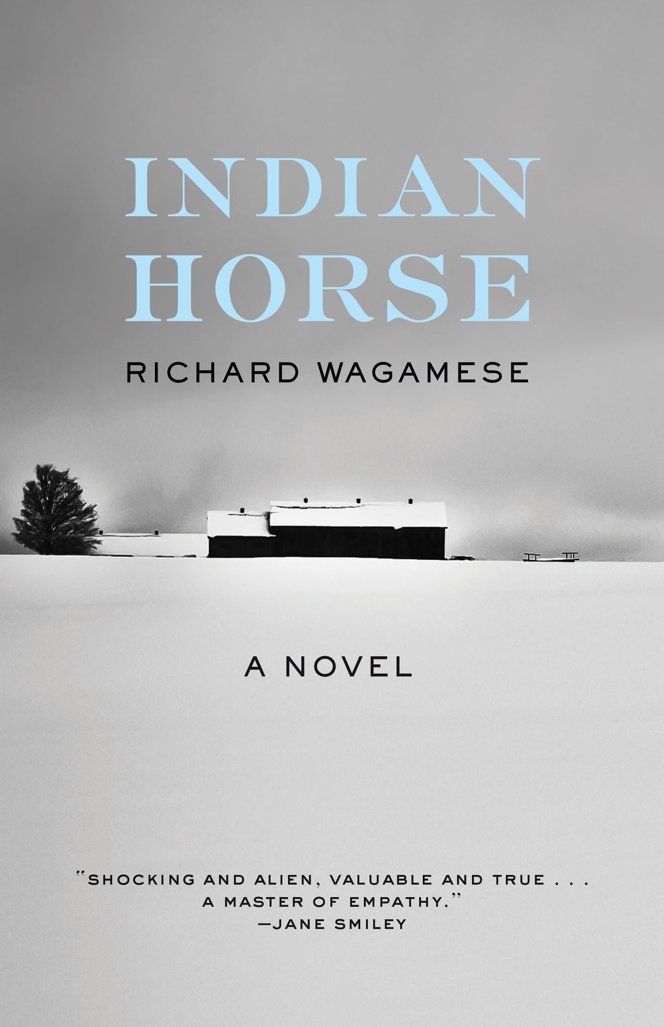 Indian Horse