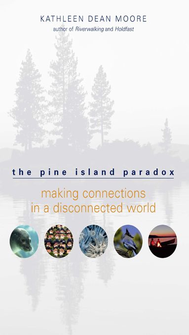 Pine Island Paradox: Making Connections in a Disconnected World
