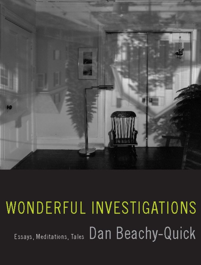 Wonderful Investigations: Essays, Meditations, Tales