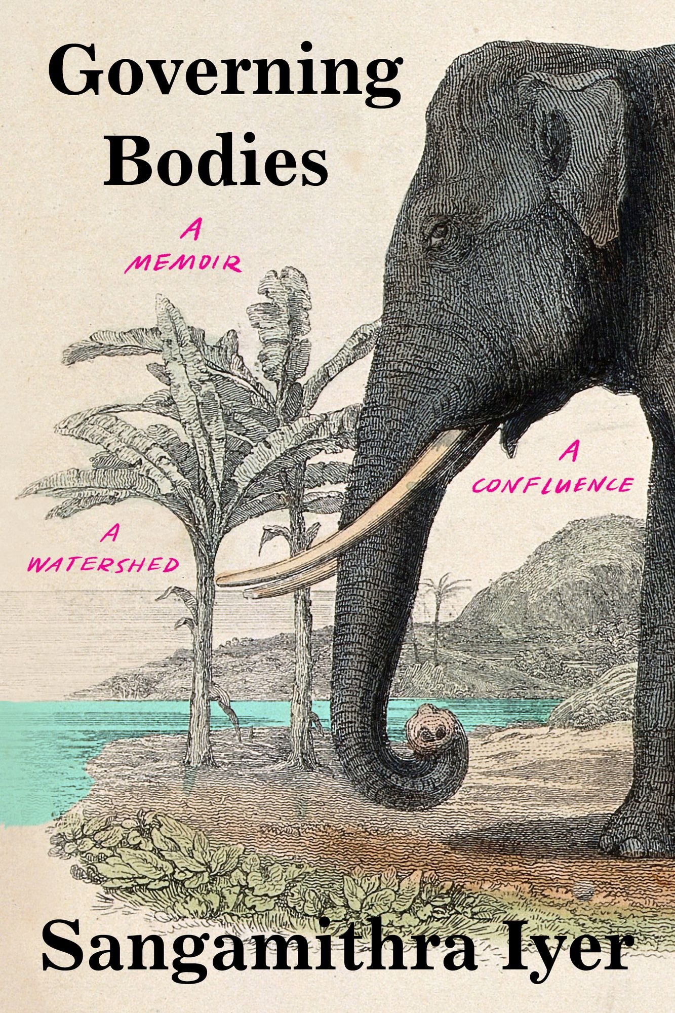 Governing Bodies: A Catena