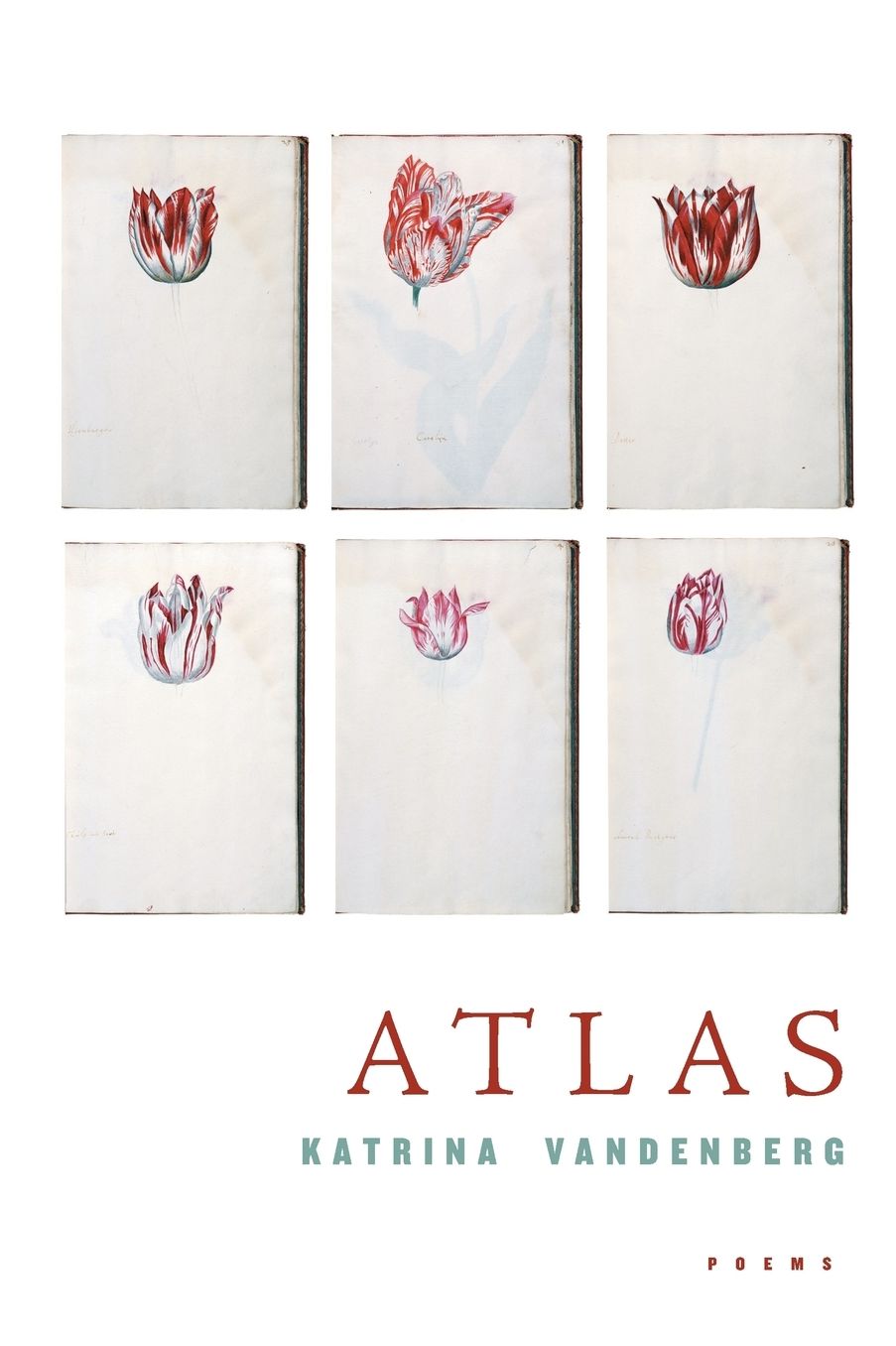 Atlas: Poems