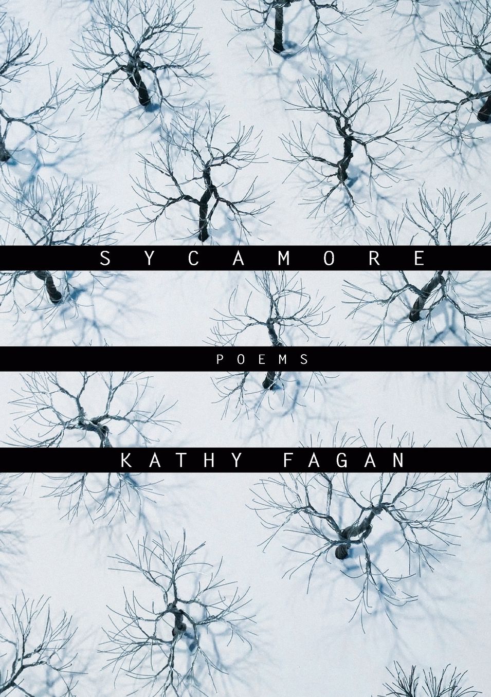 Sycamore: Poems