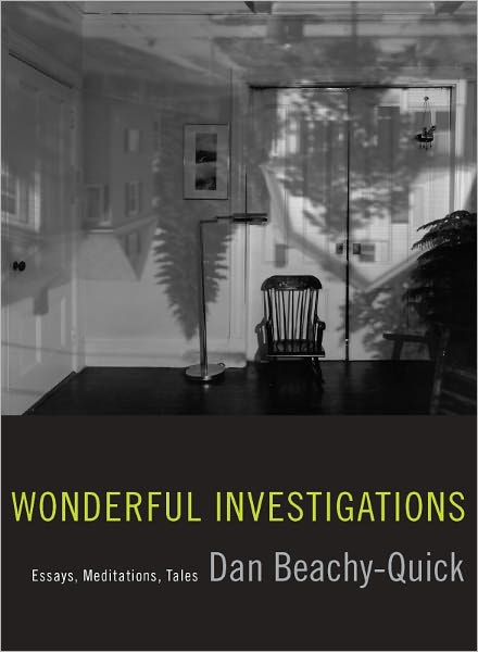 Wonderful Investigations: Essays, Meditations, Tales