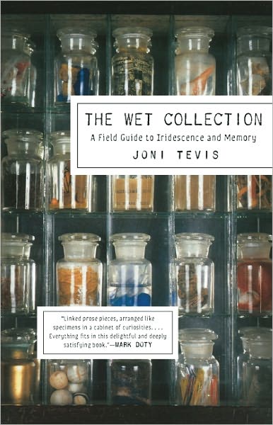 The Wet Collection: A Field Guide to Iridescence and Memory