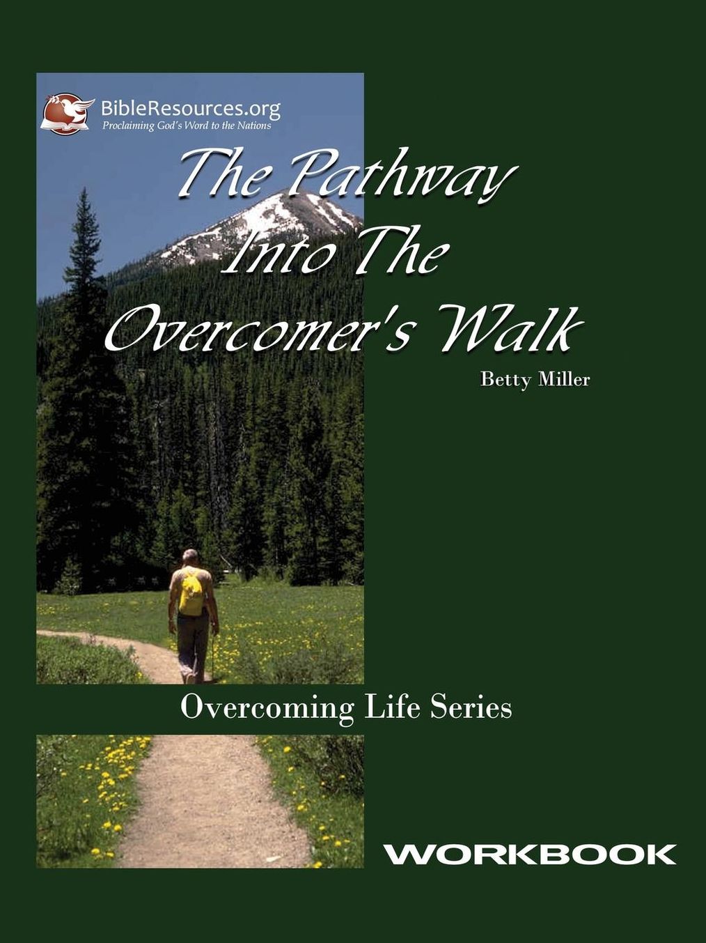 Pathway into the Overcomer's Walk Workbook