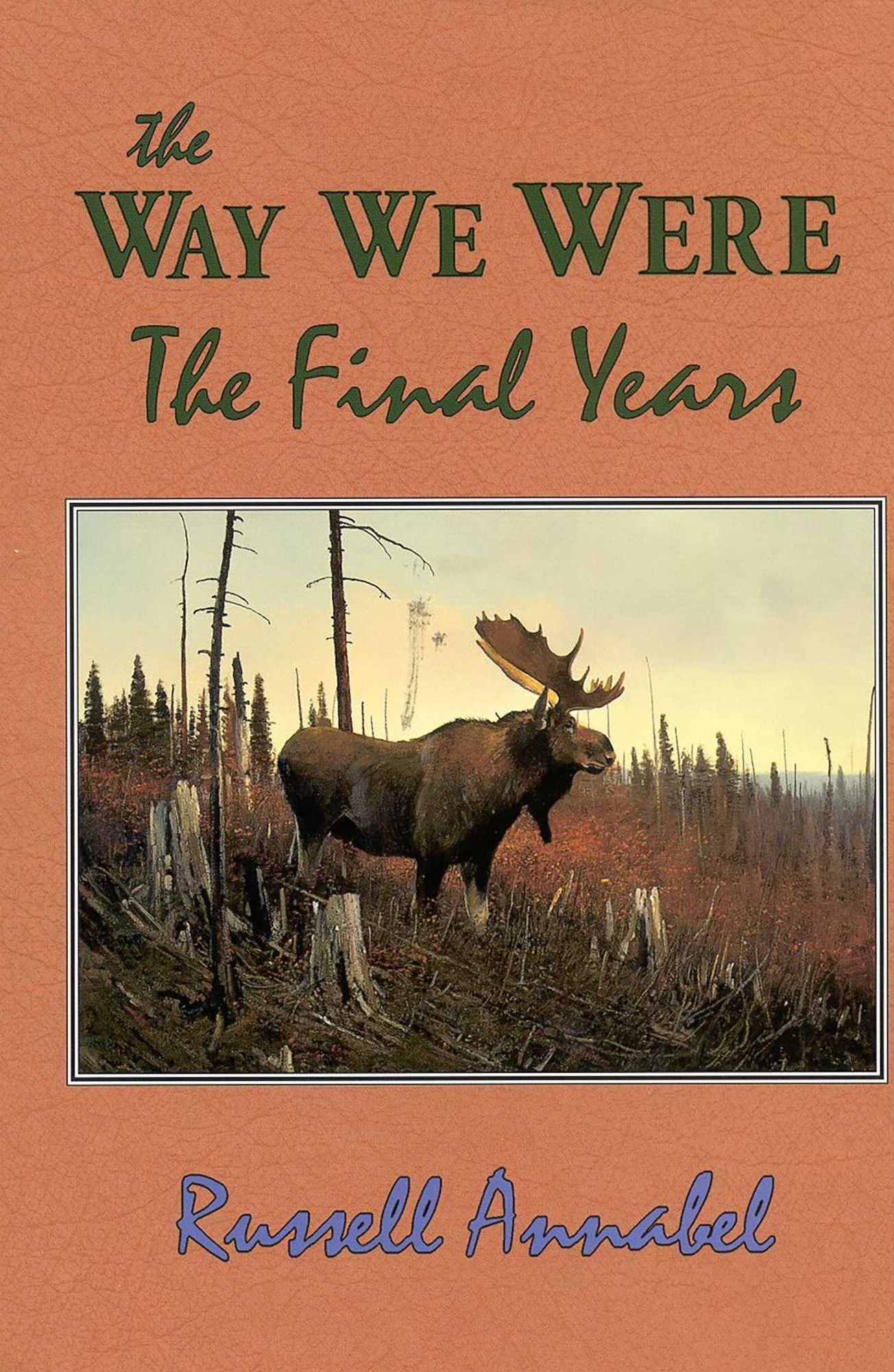 The Way We Were: The Final Years (1970-1979)