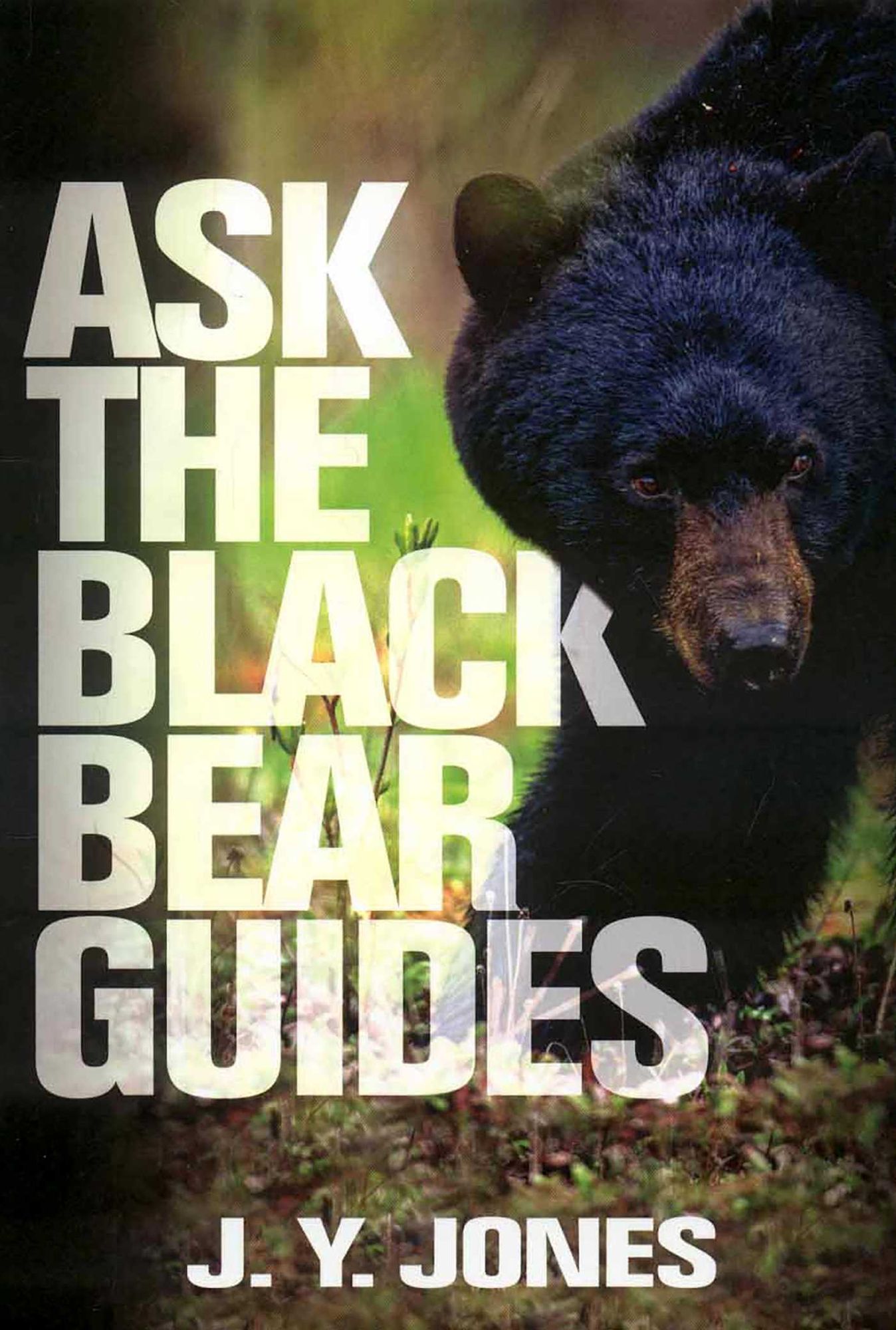 Ask the Bear Guides: Black Bear Hunting