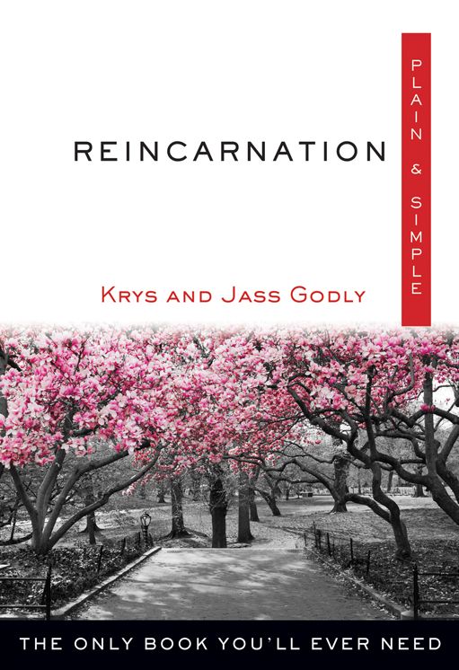 Reincarnation, Plain & Simple: The Only Book You'll Ever Need