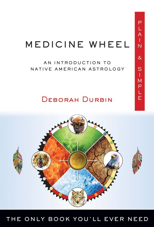 Medicine Wheel Plain & Simple: The Only Book You'll Ever Need