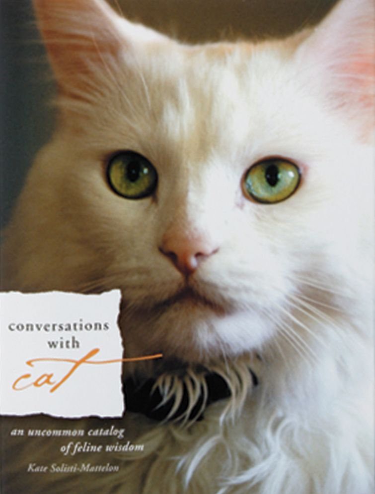 Conversations with Cat: An Uncommon Dialog of Feline Wisdom