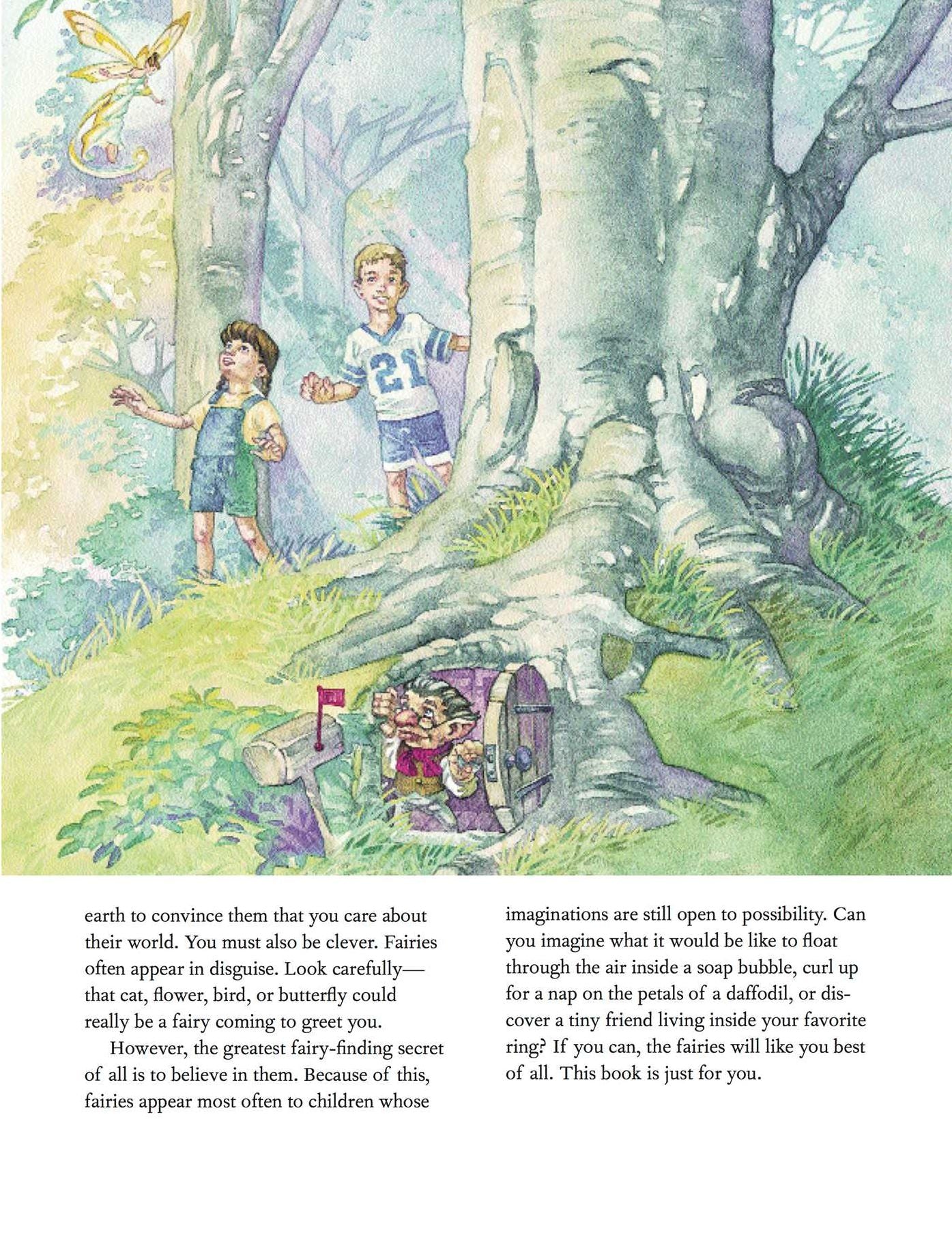 Finding Fairies