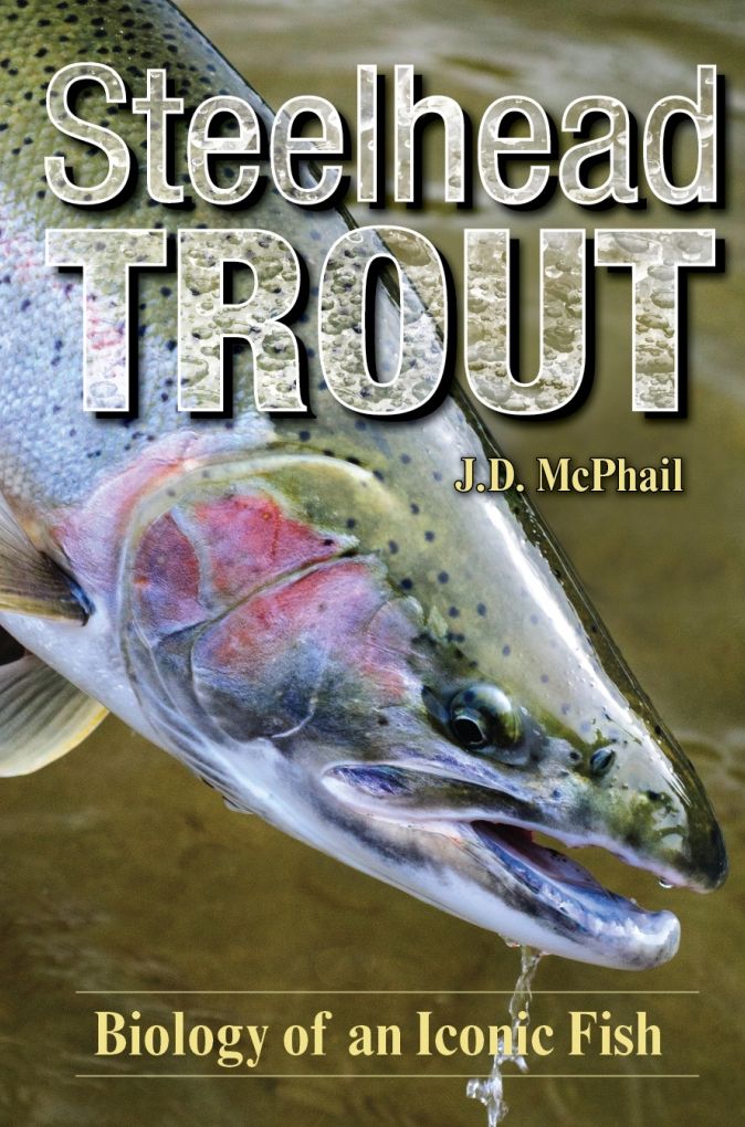 Wild Steelhead