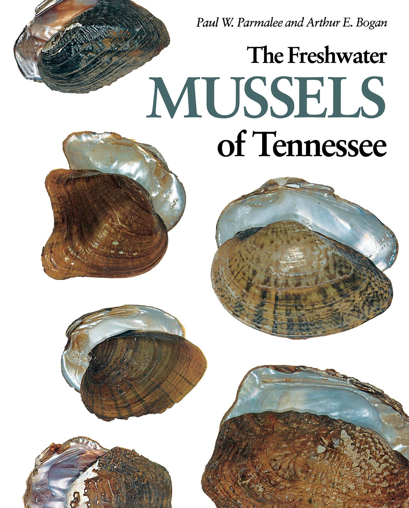 The Freshwater Mussels of Tennessee