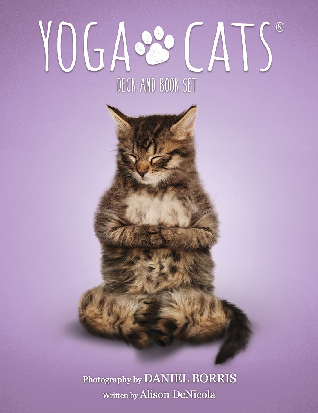 Yoga Cats Deck/Book Set