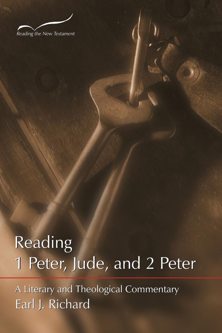 Reading 1 Peter, Jude and 2 Peter: A Literary and Theological Commentary