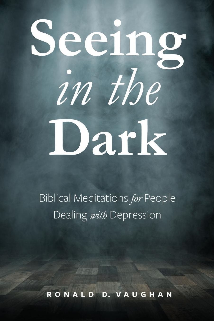 Seeing in the Dark: Biblical Meditations for People Dealing with Depression