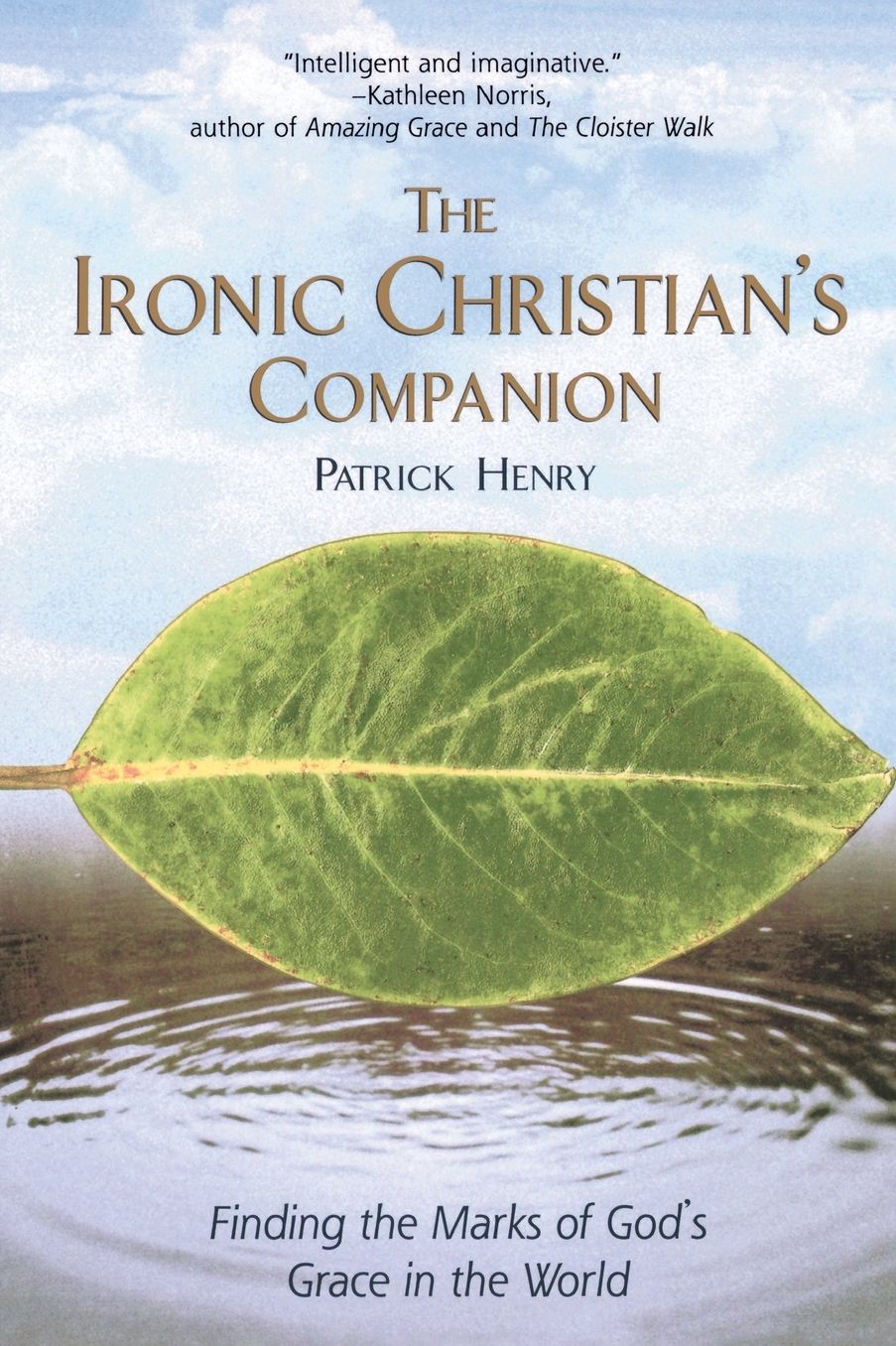 The Ironic Christian's Companion: Finding the Marks of God's Grace in the World