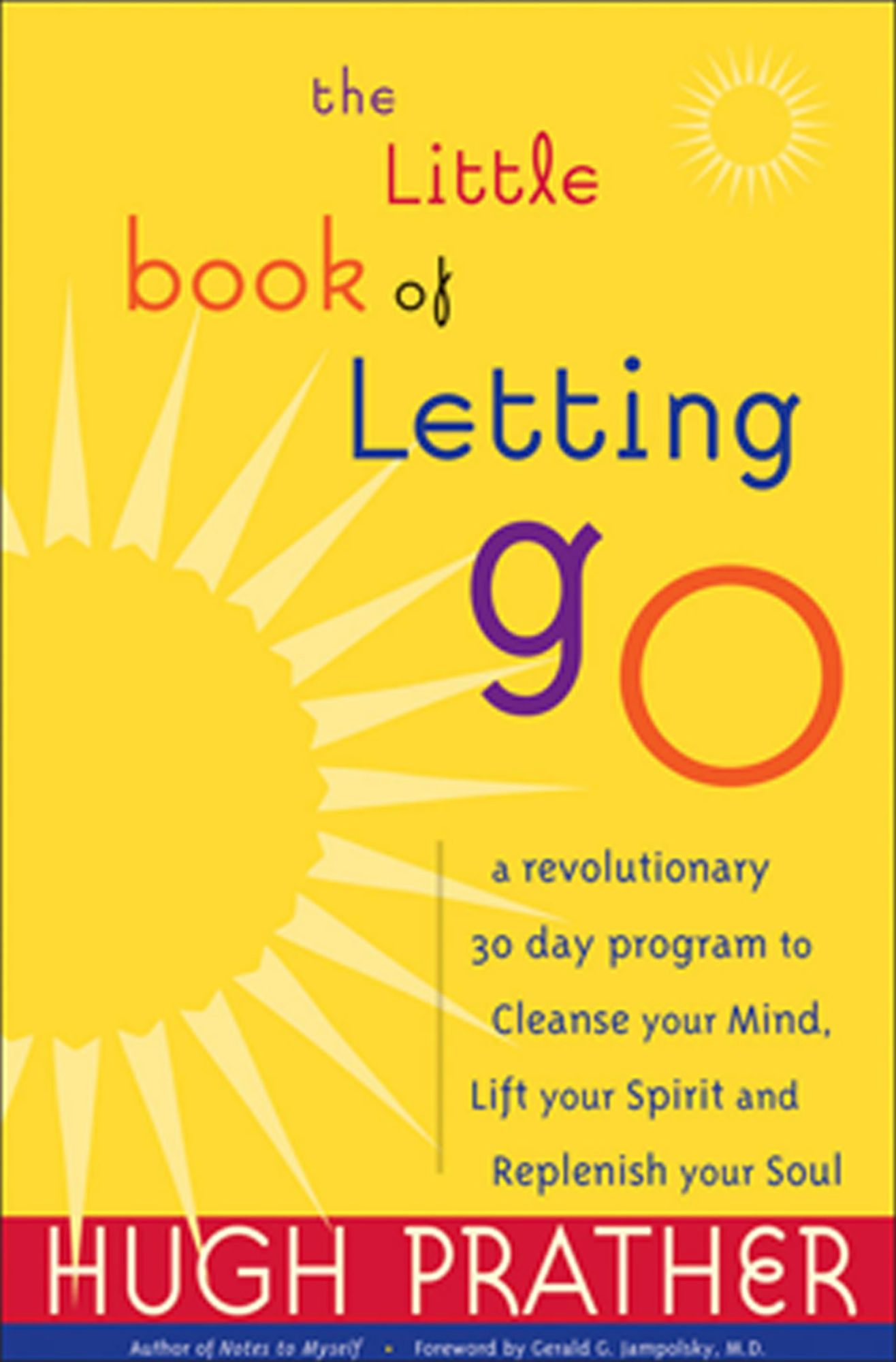 The Little Book of Letting Go: A Revolutionary 30-Day Program to Cleanse Your Mind, Lift Your Spirit and Revive Your Soul