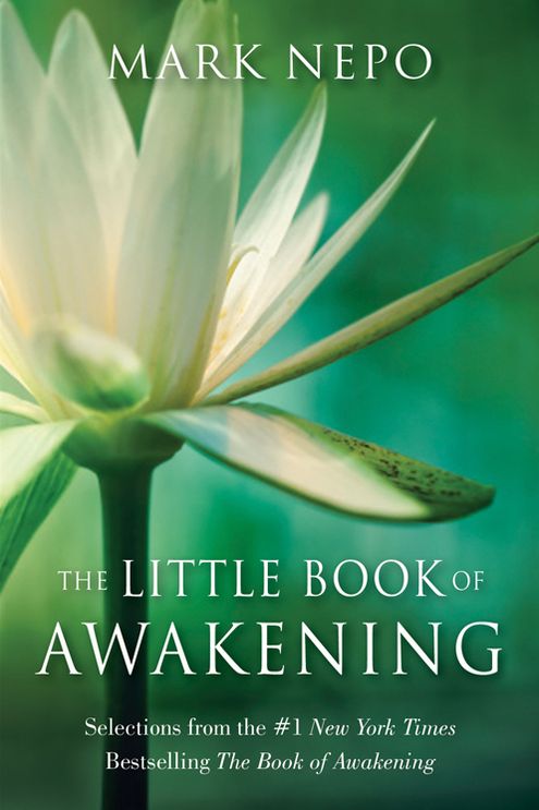 The Little Book of Awakening: Selections from the #1 New York Times Bestselling The Book of Awakening