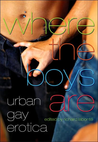 Where the Boys Are: Urban Gay Erotica