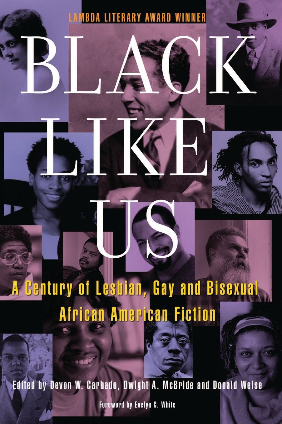 Black Like Us: A Century of Lesbian, Gay, and Bisexual African American Fiction
