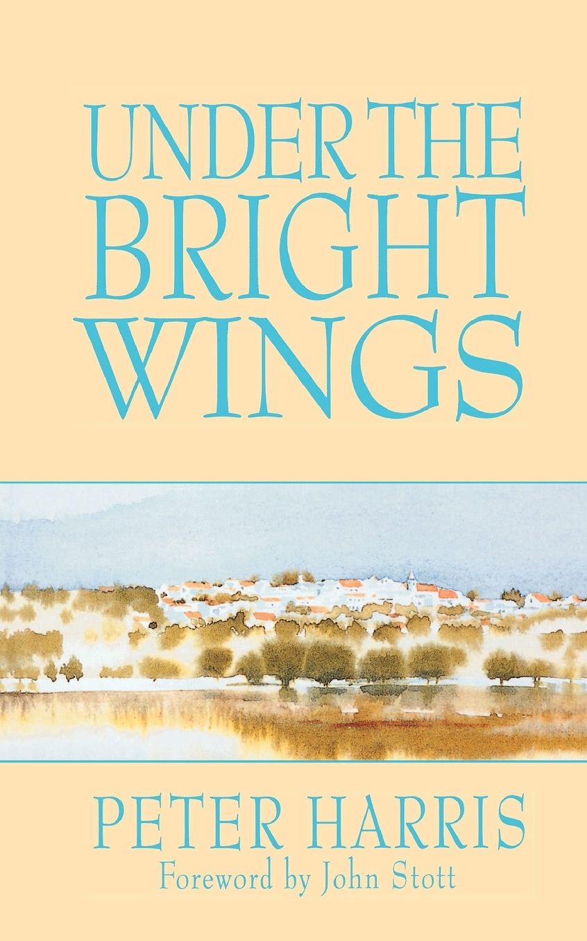 Under The Bright Wings