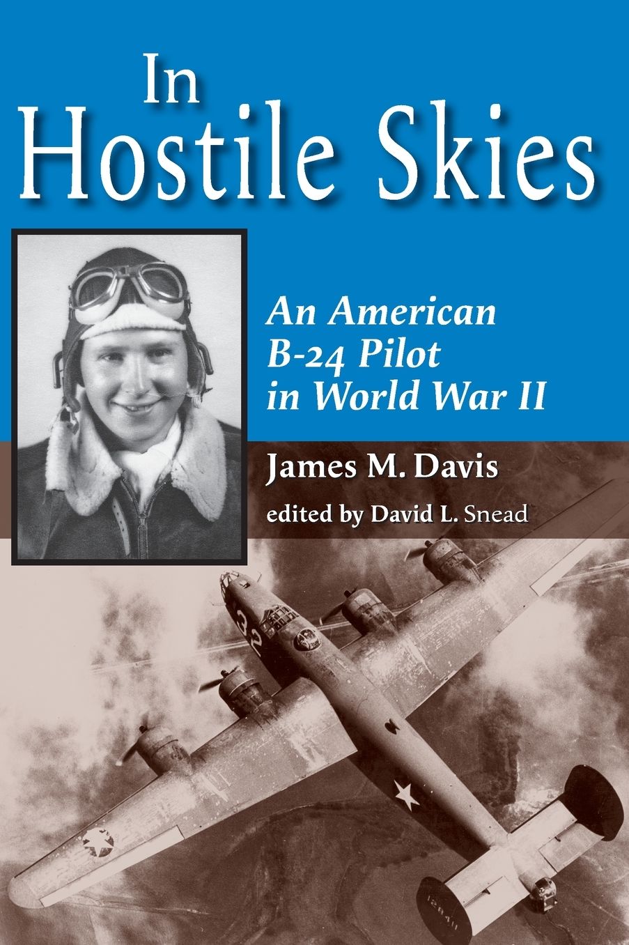 In Hostile Skies: An American B-24 Pilot in World War II