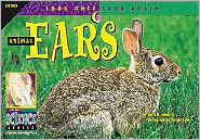 Animal Ears