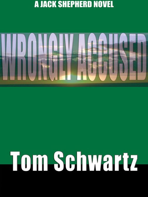 Wrongly Accused: A Mystery Thriller