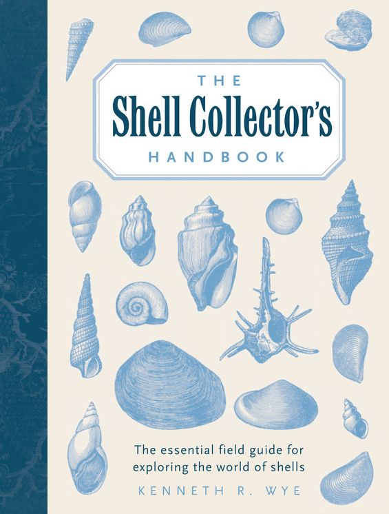 The Shell Collector's Handbook: The Essential Field Guide for Exploring the World of Shells