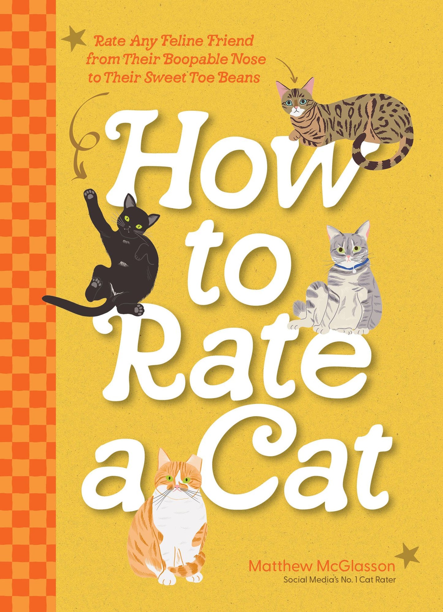 How to Rate a Cat: A Cat Lover's Guide to All Things Feline