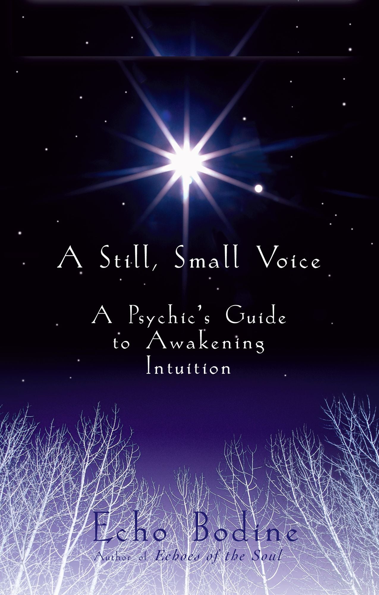 Still, Small Voice: A Psychic's Guide to Awakening Intuition