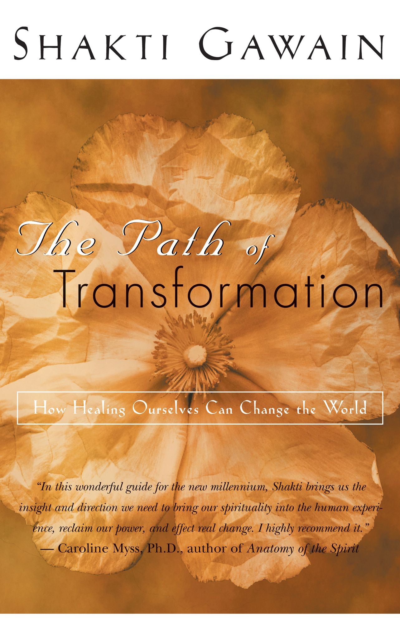 Path of Transformation: How Healing Ourselves Can Change the World