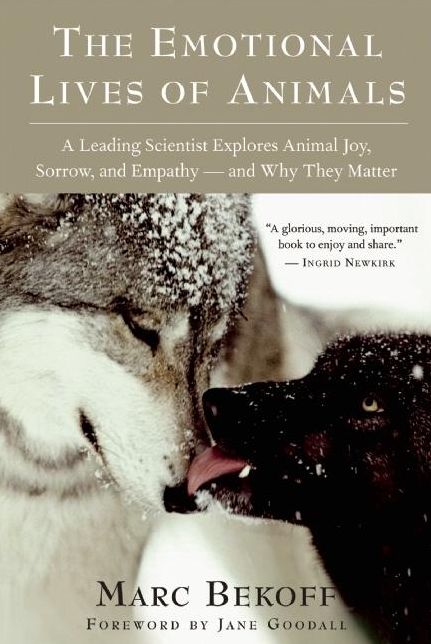 The Emotional Lives of Animals: A Leading Scientist Explores Animal Joy, Sorrow, and Empathy - and why They Matter