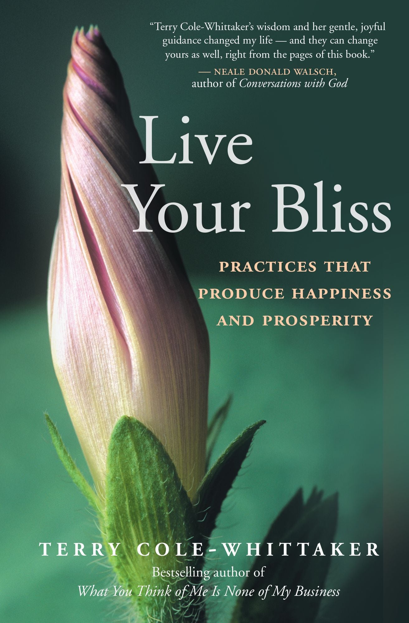 Live Your Bliss: Practices That Produce Happiness and Prosperity