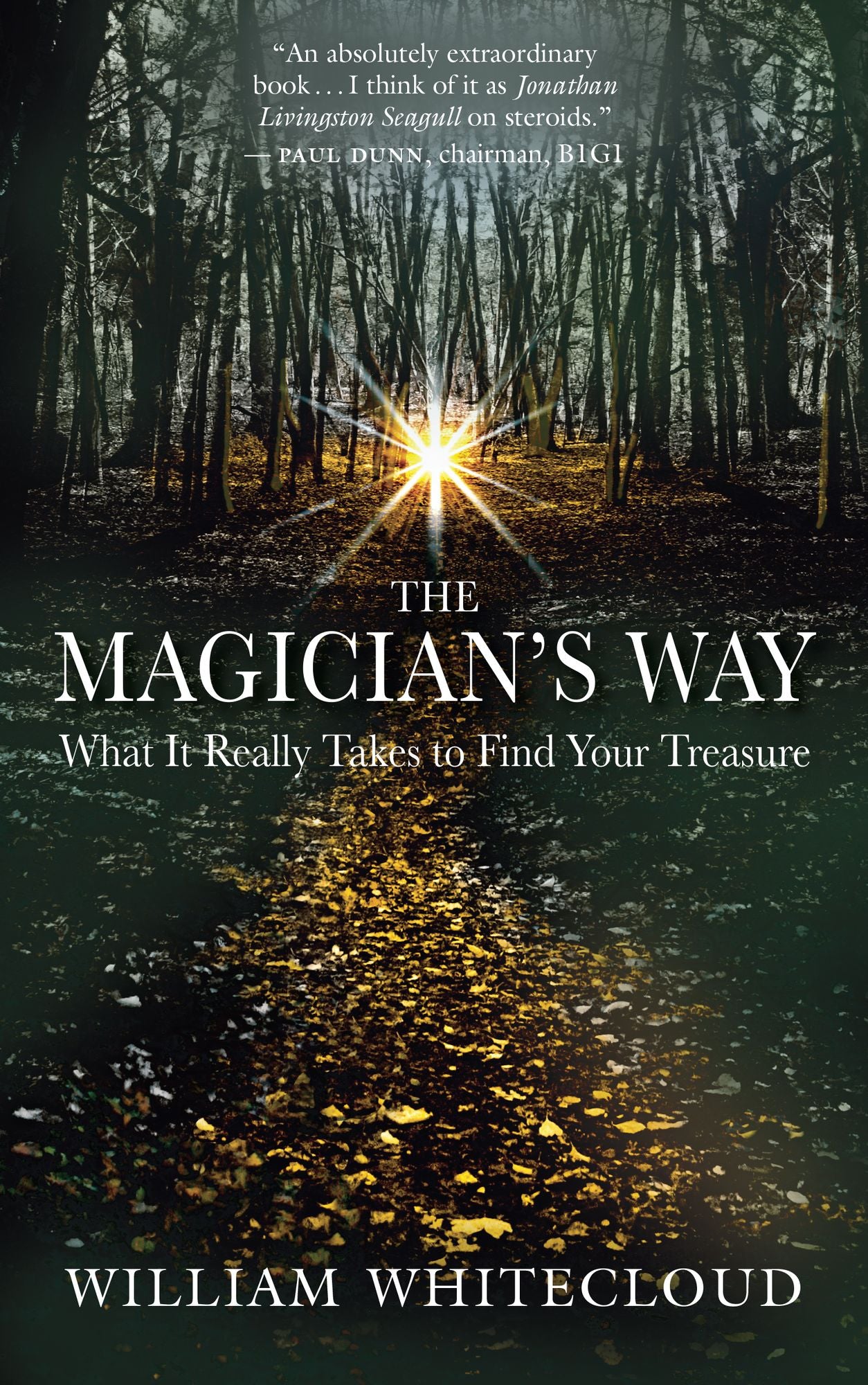 The Magician's Way: What It Really Takes to Find Your Treasure