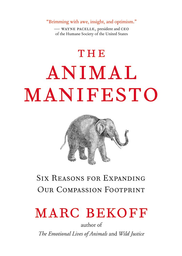 The Animal Manifesto: Six Reasons for Expanding Our Compassion Footprint
