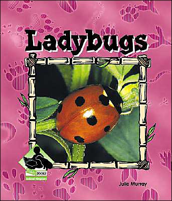 Ladybugs