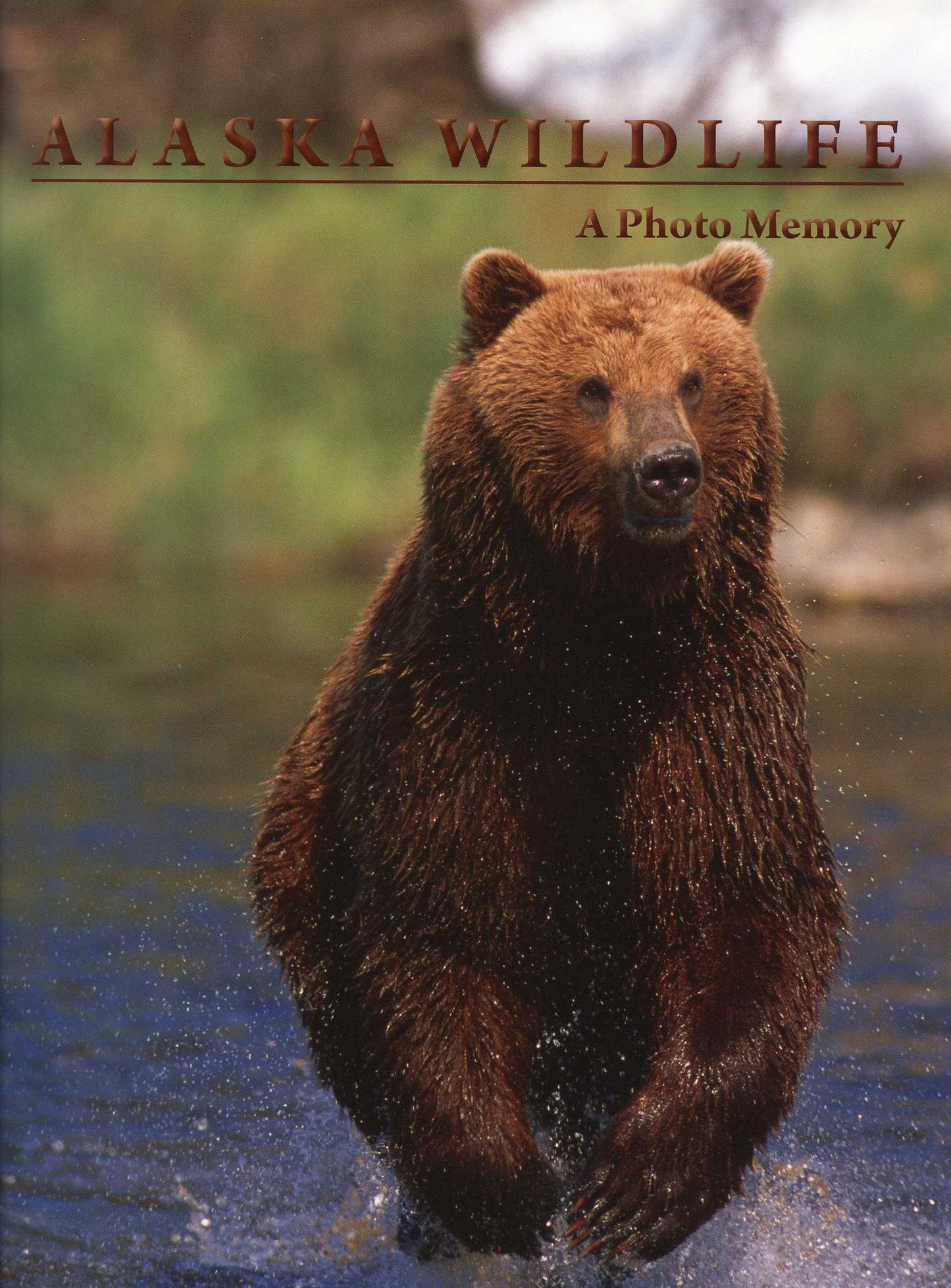 Alaska Wildlife: A Photo Memory