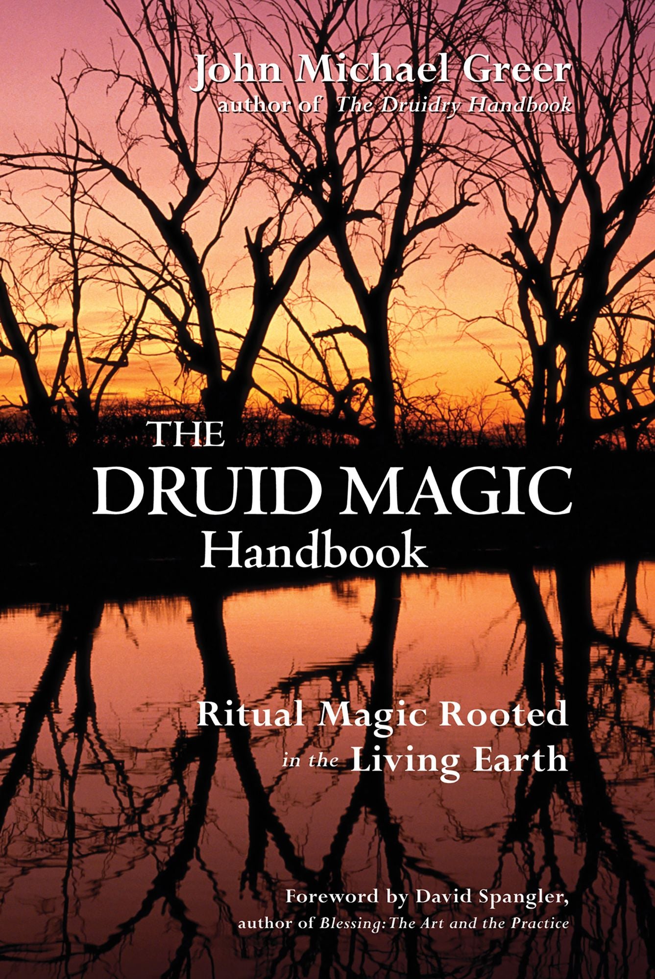 Druid Magic Handbook: Ritual Magic Rooted in the Living Earth