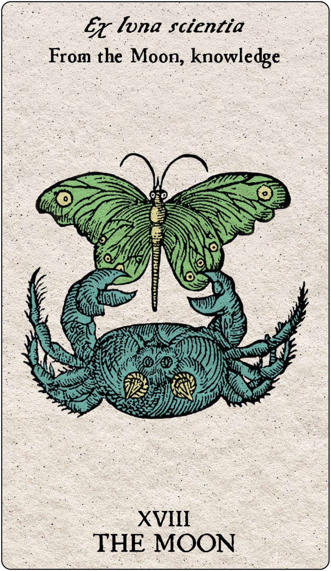Tarot Emblemata: Decoding Magical Symbolism (83 Full-Color Cards and 176-Page Guidebook)