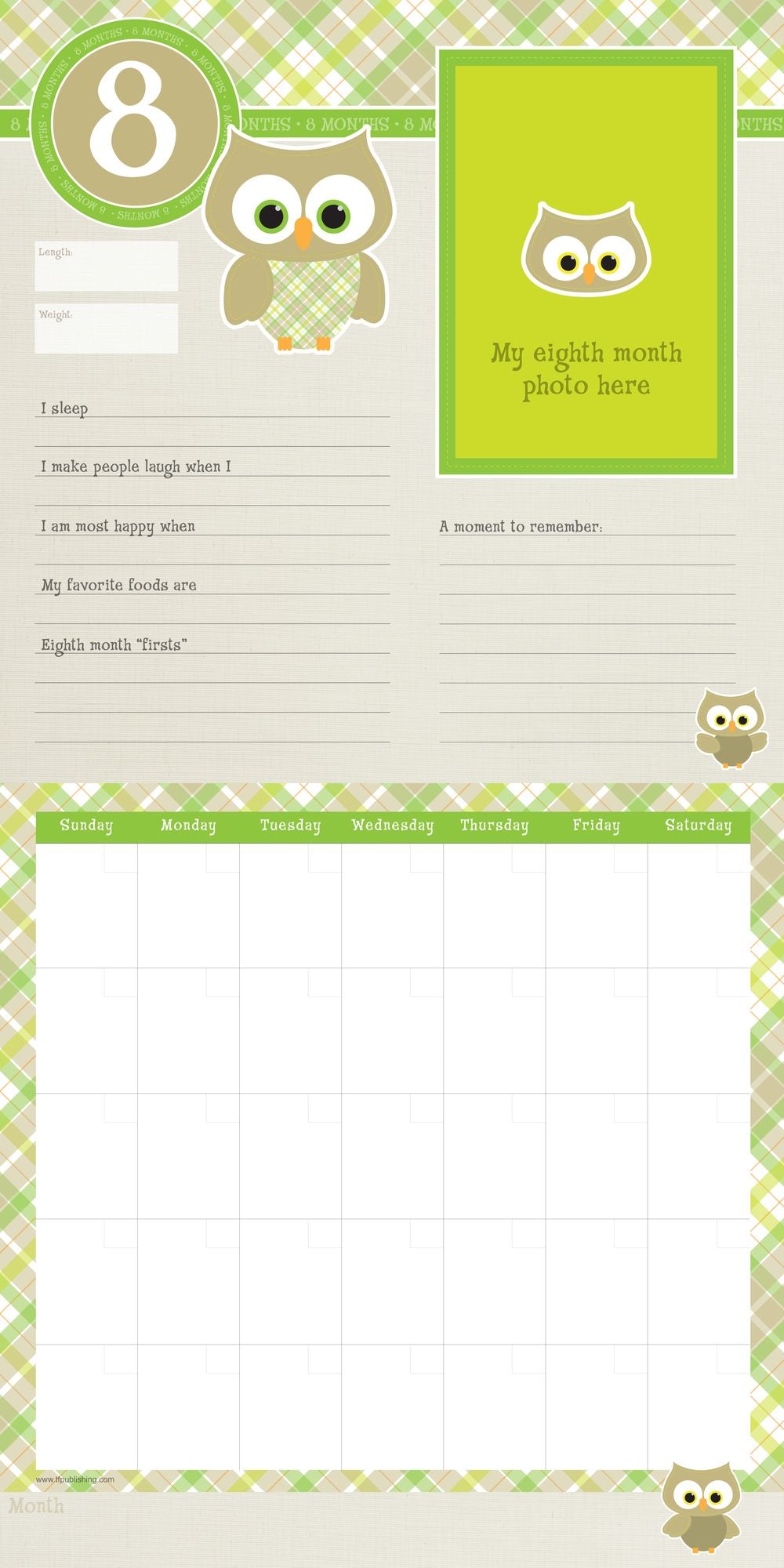 Babys First Year Plaid NonDated Wall Calendar